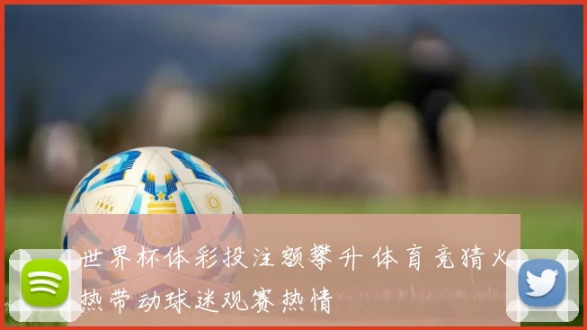 世界杯体彩投注额攀升 体育竞猜火热带动球迷观赛热情