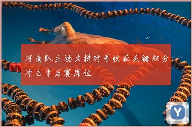 河南队主场力拼对手收获关键积分冲击季后赛席位