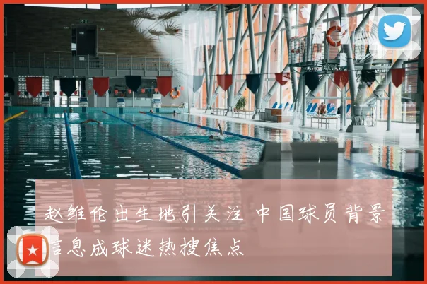 赵维伦出生地引关注 中国球员背景信息成球迷热搜焦点