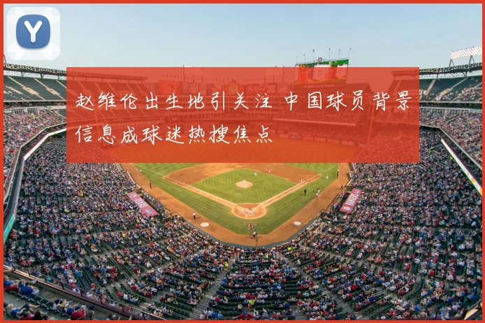 赵维伦出生地引关注 中国球员背景信息成球迷热搜焦点