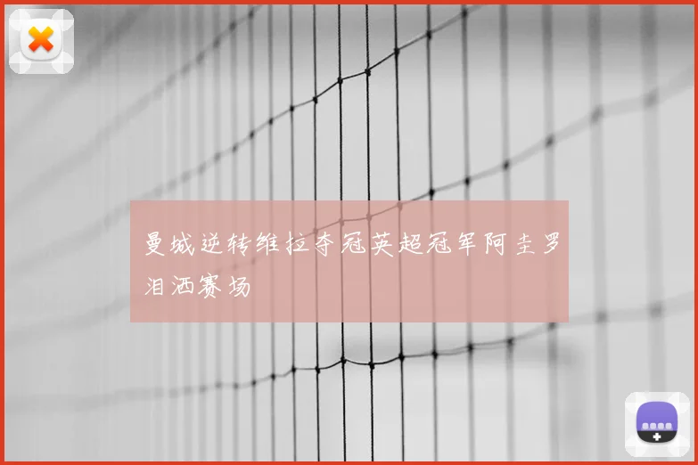 曼城逆转维拉夺冠英超冠军阿圭罗泪洒赛场