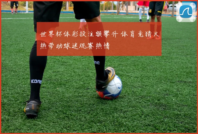 世界杯体彩投注额攀升 体育竞猜火热带动球迷观赛热情