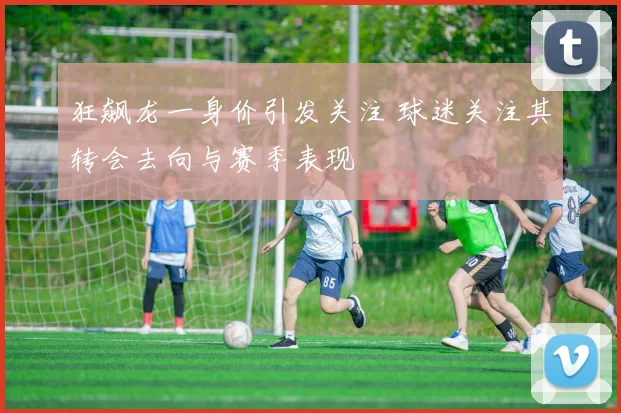 狂飙龙一身价引发关注 球迷关注其转会去向与赛季表现